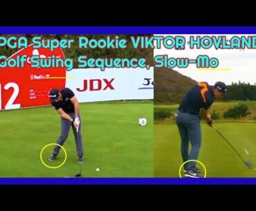 ゴルフスイング 後方 Fogolf Follow Golf