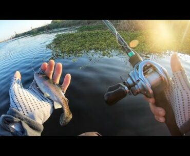Fishing a HUDDLESTON for bedding bass
