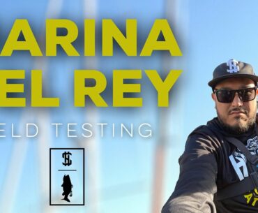 Marina Del Rey Fishing