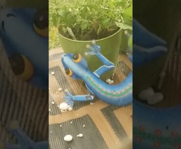 Golf ball and baseball size hail storm
