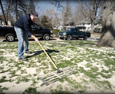 SAND LEVELING Your Lawn - What You NEED To Know!