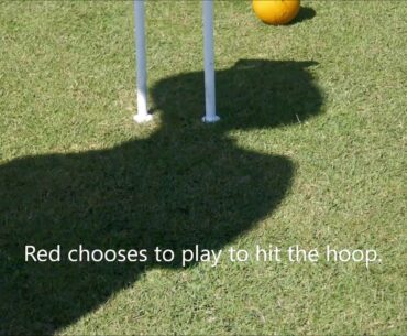 Golf Croquet   Tips and Tactics playing the hoop
