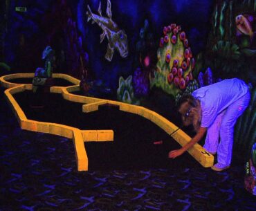 Putters WIld Indoor Mini Golf and Fun center !!!!!