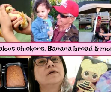 Jealous chickens, Banana bread and more!