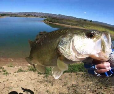 Bass fishing during the covid-19 pandemic!