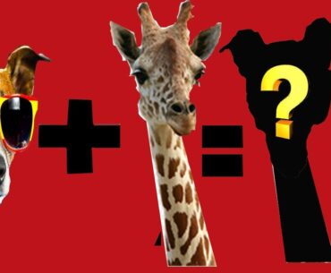 ANIMALS FOUND IN THE CENTER OF JUNGLES *HYBRID ANIMAL PHOTO SHOP COMPETITION*