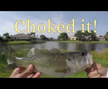 Florida pond fishing for bass