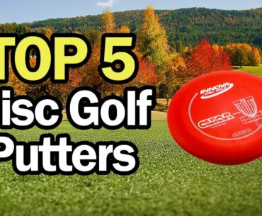 Best Disc Golf Putters Top 5 2019