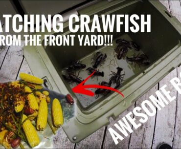FRONT YARD CRAWFISH CATCH AND COOK!!! (SECRET CRAWFISH BOIL SAUCE RECIPE!!)