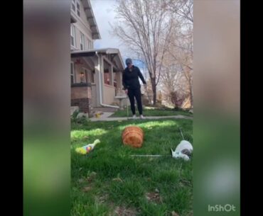 Cornhole Chipping Game