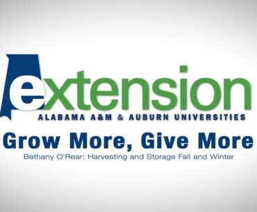 Bethany O'Rear: Harvesting and Storage Fall and Winter