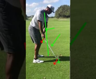 2017 Tiger Woods golf swing - Takeaway