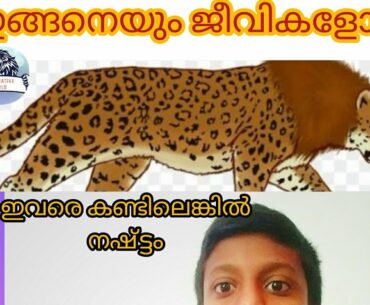 5 hybrid ജീവികൾ[ ഇങ്ങനെയുമുണ്ടോ ജീവികൾ