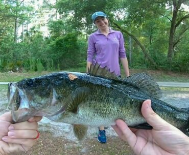 Fishing Secluded GOLF COURSE Ponds!! // STACKED GOLF