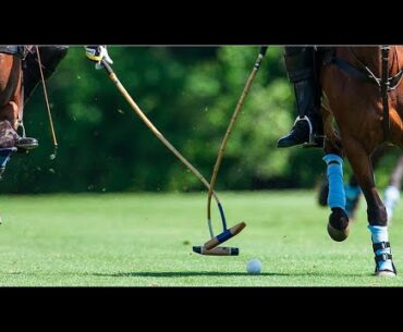Colts - Polo Rules & Tactics Online Lesson
