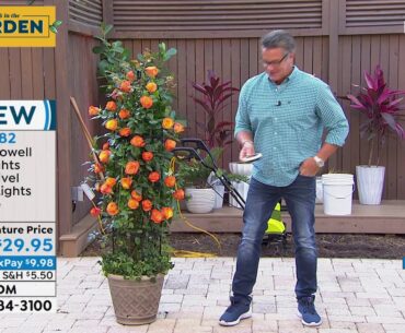 HSN | Guy's in the Garden 05.01.2020 - 08 AM