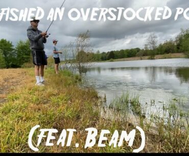 Fishing an overstocked pond Ep.3 (feat.Beam)