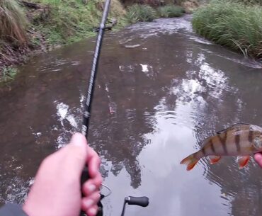 trout fishing after rain