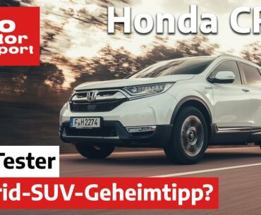 Honda CR-V: Der Geheimtipp unter den Hybrid-SUV? - Test/Review | auto motor und sport