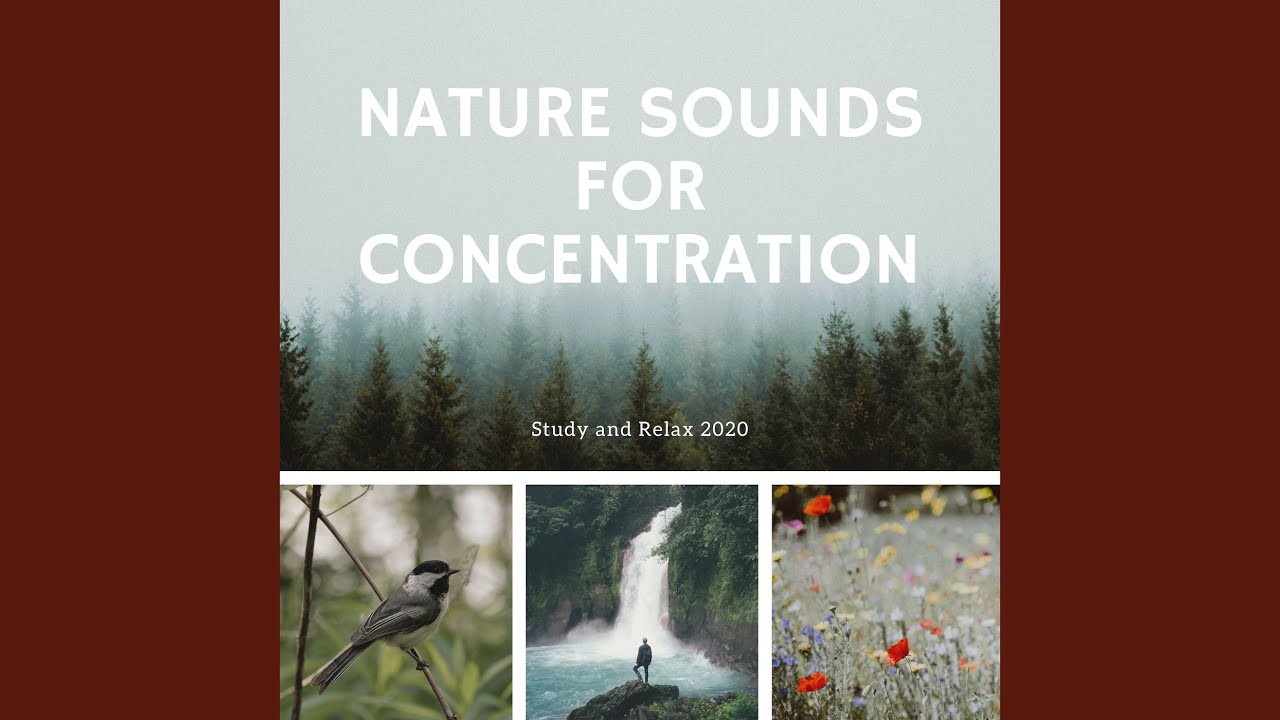 Meditation of a Man Meditation of a Man