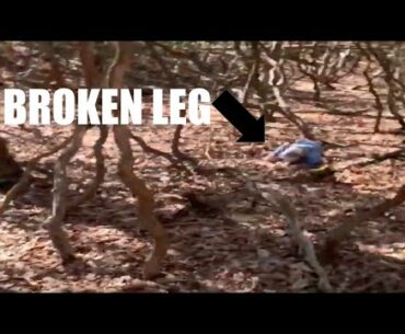 Hiking Expedition- Mystery Woods Day 1