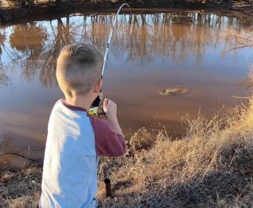 Pond Fishing for Catfish