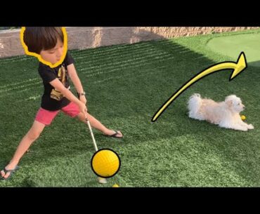 I'm not gaming today! Backyard golf practice with Max