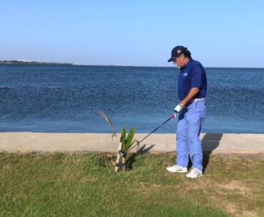 Golf rules in Urdu 17.1d3/2