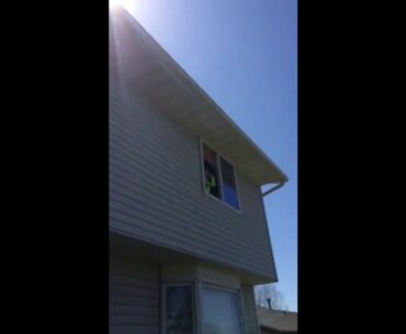 Window Golf Ball Trick Shot