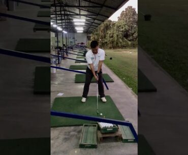 Learning Golf Swing