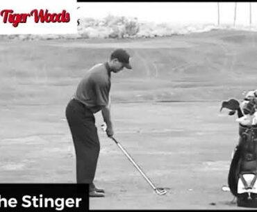 Tiger Woods Stinger 3 iron