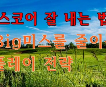 [골프스코어 잘 내는 법] 빅미스를 줄이는 플레이 전략/파울신/How not to do big mistakes/PaulSin