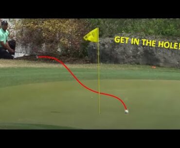 Best escapes ever on the golf course!!