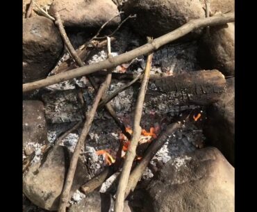 Day 3 Of The Woods Fort