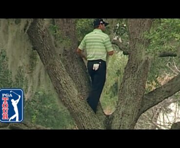 Sergio Garcia climbs a tree to hit one-handed shot at Bay Hill
