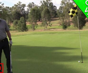 HANDSOME SOLO SANDY GALLOP GOLF COURSE VLOG PART 5