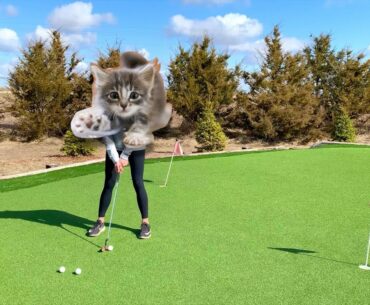 Have you learned the Paws Putting Drill?