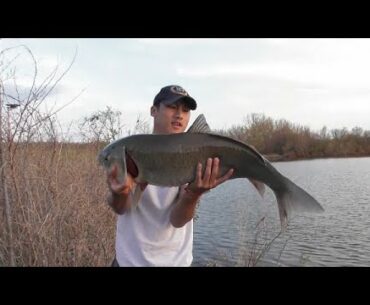 White Bass Fishing Iowa Pond & Surprise Catch