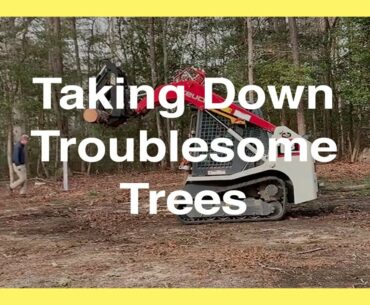 #54 Taking Down Troublesome Trees