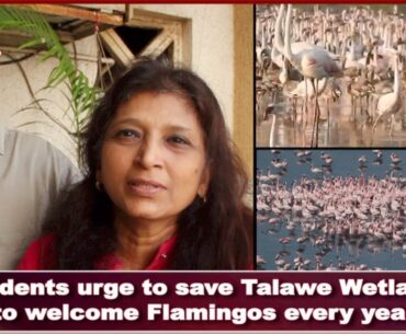 Citizens urge to save Navi Mumbai Wetlands from turning to Golf Course