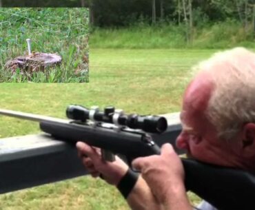 Paint Ball Challange Shot