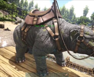 Beating a pig with a club to make it like me) Ark ep2