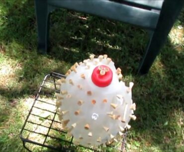 500 GOLF TEES VS. WATER JUG!!!