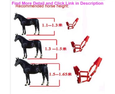 Review Various Sizes Practical Accessories Adjustable Handle Double Layered Detachable Protection H