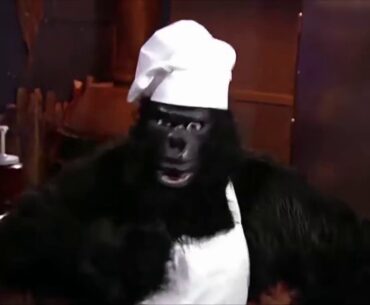 Gorilla Raging at Patchy for 10 Hours