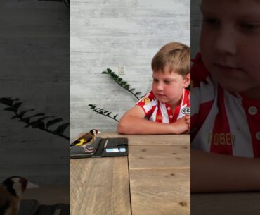 Ryan met de tamme Putter