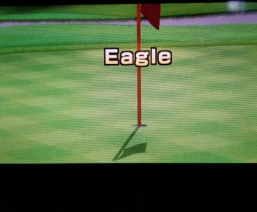 Wii Sports Resort Golf: Eagle 198yds (Hole 10)