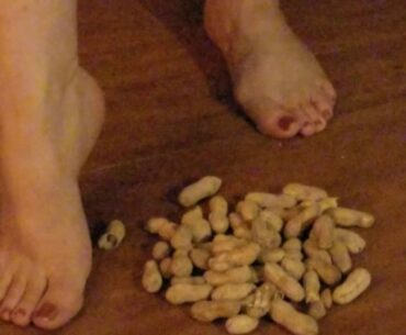 Barefoot Peanut Stompin'