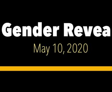 Golf Ball Gender Reveal 2020