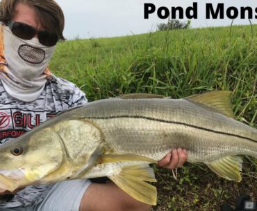 Fishing For Pond Giants!!!(New PB)